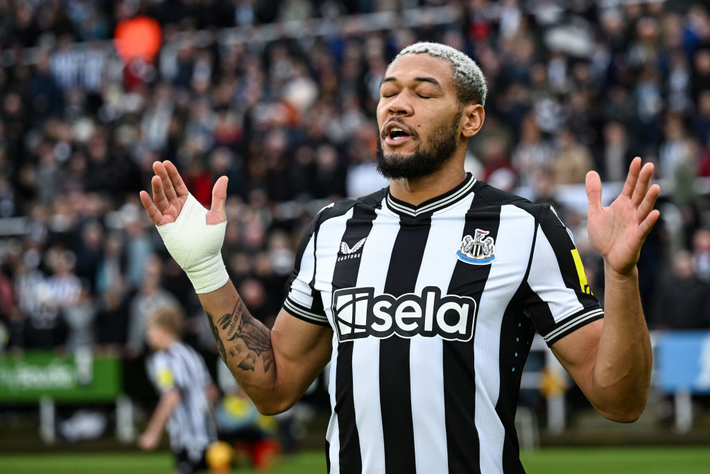 Newcastle United v Fulham FC - Premier League