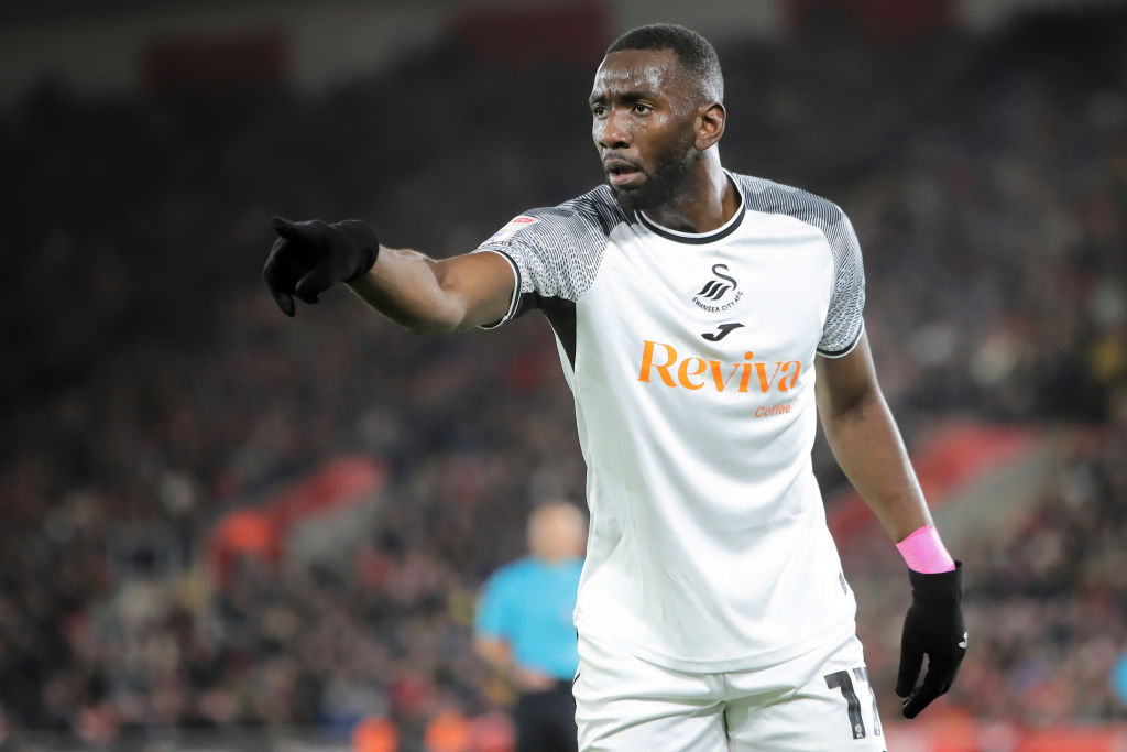 Southampton FC v Swansea City - Sky Bet Championship