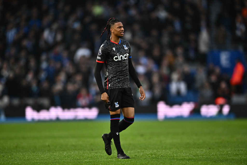 Brighton & Hove Albion v Crystal Palace - Premier League