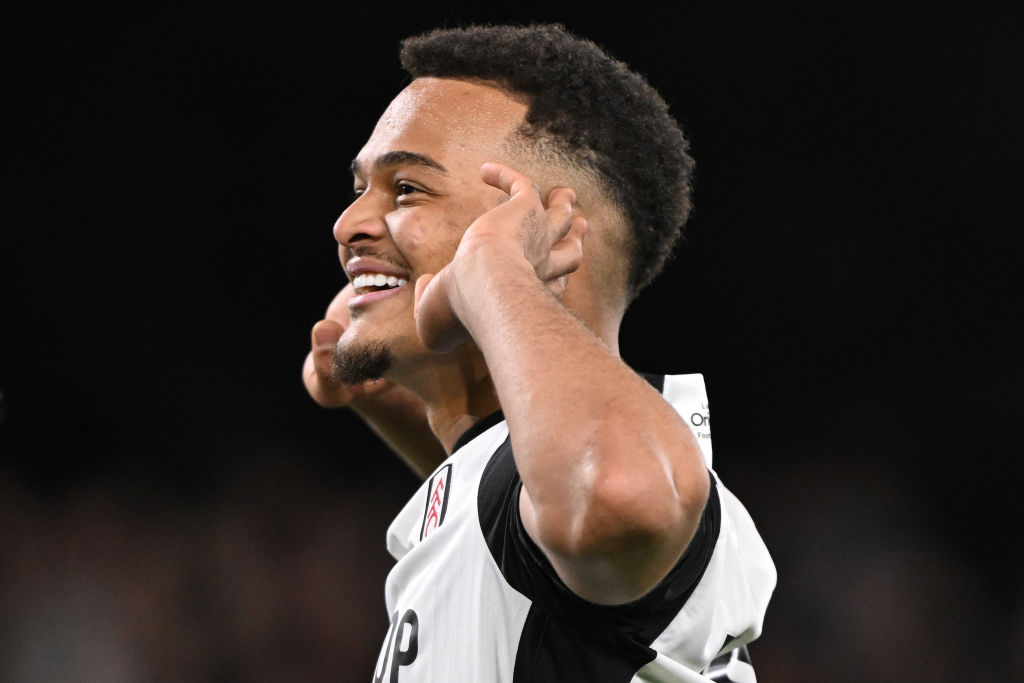 Fulham FC v Tottenham Hotspur - Premier League