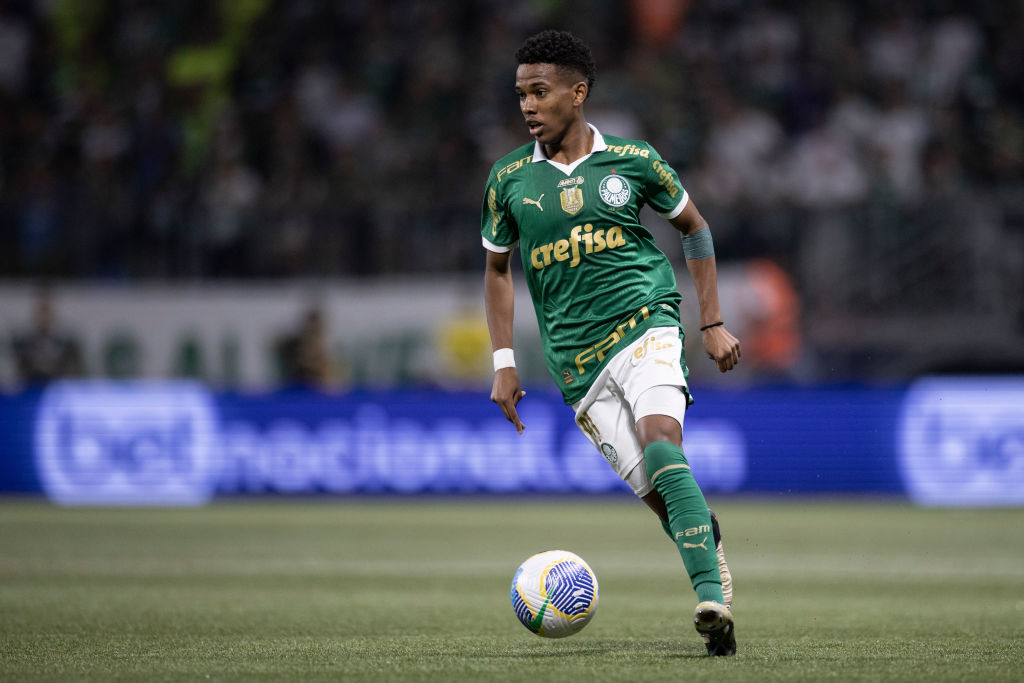 S.E Palmeiras v Botafogo F.C - Copa do Brasil 2024